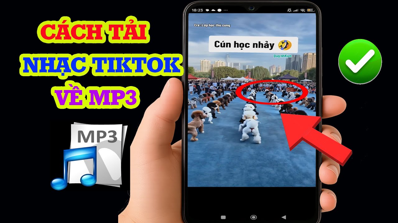 tải âm thanh tiktok mp3
